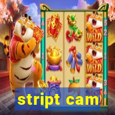 stript cam